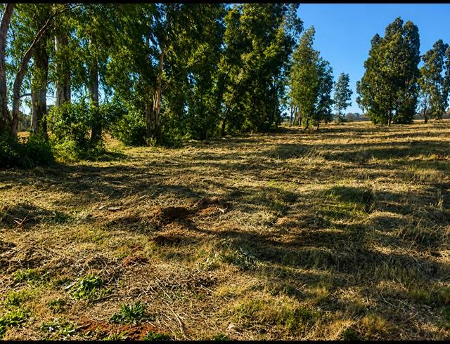 1,119M² VACANT LAND FOR SALE IN KOOKRUS